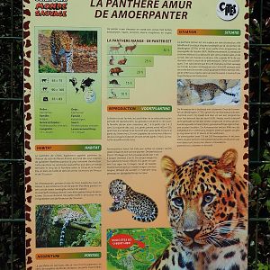 Amur leopard signage, 2023-05-19
