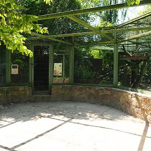 Amur leopard viewing area, 2023-05-19