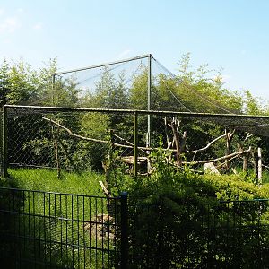 Leopard cat exhibit, 2023-05-19