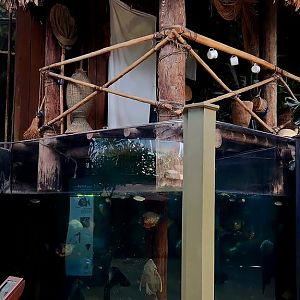 Amazon Rising: Floodplain House (Left)