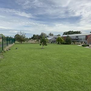 General View - Johnsons of Old Hurst (October 2023)