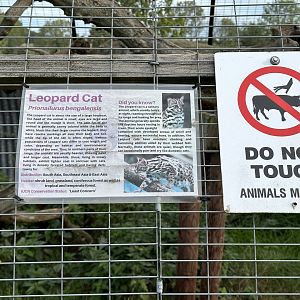 Leopard Cat Signage at Johnsons of Old Hurst (October 2023)