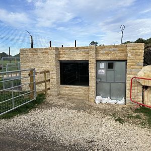 Lion Housing at Johnsons of Old Hurst (October 2023)