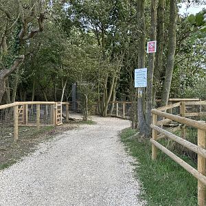 Woodland Walk at Johnsons of Old Hurst (October 2023)