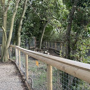 Vacant Enclosure at Johnsons of Old Hurst (October 2023)