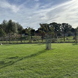 Sloth Bear Enclosure at Johnsons of Old Hurst (October 2023)