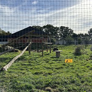 Sloth Bear Enclosure at Johnsons of Old Hurst (October 2023)
