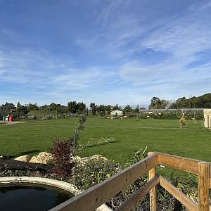 General View - Johnsons of Old Hurst (October 2023)