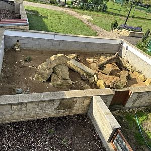 Meerkat Enclosure at Johnsons of Old Hurst (October 2023)