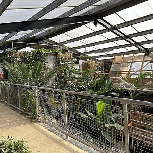 Tropical House Interior at Johnsons of Old Hurst (October 2023)