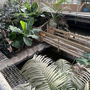 Tropical House Interior at Johnsons of Old Hurst (October 2023)