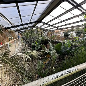 General View of the Tropical House at Johnsons of Old Hurst (October 2023)