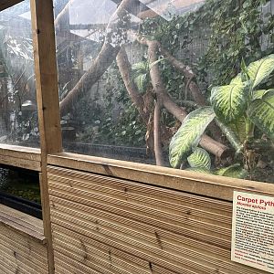 Carpet Python Enclosure at Johnsons of Old Hurst (October 2023)