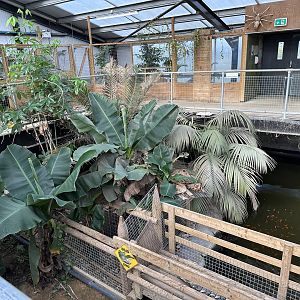 Tropical House Interior at Johnsons of Old Hurst (October 2023)