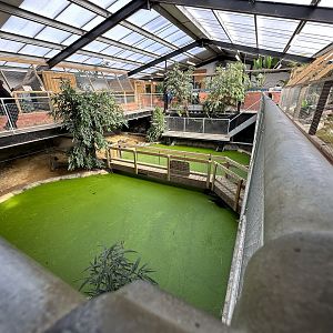 Crocodile Enclosures at Johnsons of Old Hurst (October 2023)