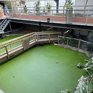 Crocodile Enclosures at Johnsons of Old Hurst (October 2023)