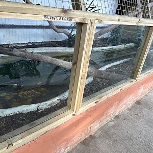 Nile Monitor Enclosure at Johnsons of Old Hurst (October 2023)