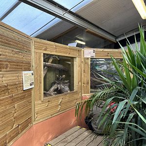 Ouachita Map Turtle / Royal Python Enclosures at Johnsons of Old Hurst (October 2023)