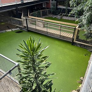 Crocodile Enclosures at Johnsons of Old Hurst (October 2023)