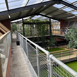 General View of Tropical House at Johnsons of Old Hurst (October 2023)