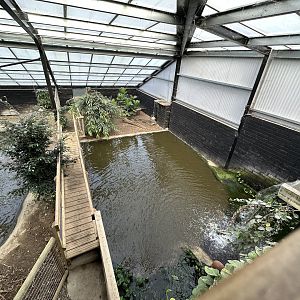 Cuban Crocodile Enclosure at Johnsons of Old Hurst (October 2023)