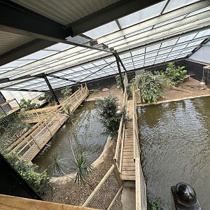 General View of the Tropical House at Johnsons of Old Hurst (October 2023)