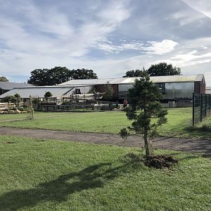 Tropical House Exterior at Johnsons of Old Hurst (October 2023)