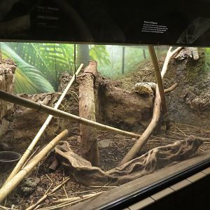Gray's Monitor Exhibit