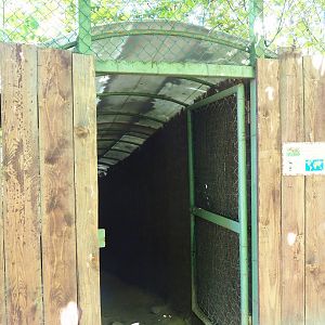 Access to Maned wolf viewing hut, 2023-05-19