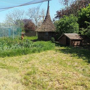 Part of Maned wolf exhibit - Former aviary, 2023-05-19