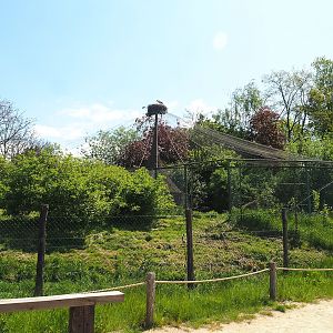 Part of Maned wolf exhibit - Former aviary, 2023-05-19