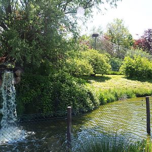 Maned wolf exhibit, 2023-05-19