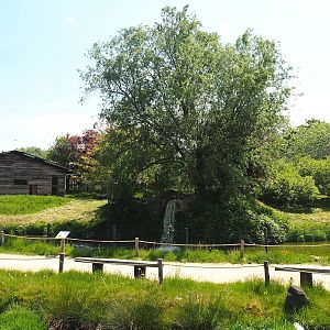 Maned wolf exhibit, 2023-05-19