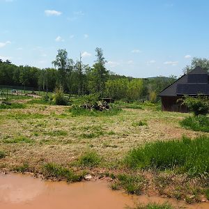 Giant anteater exhibit, 2023-05-19
