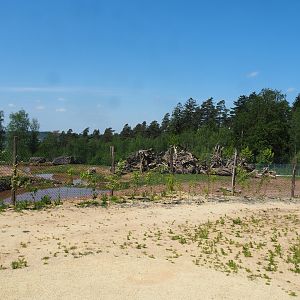 Mixed South American paddock, 2023-05-19