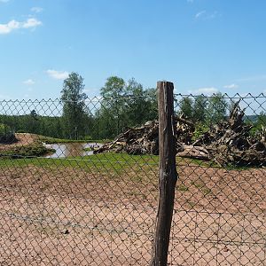 Mixed South American paddock, 2023-05-19