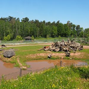 Mixed South American paddock, 2023-05-19
