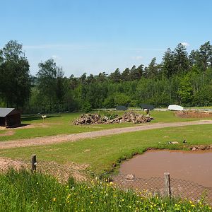Mixed South American paddock, 2023-05-19