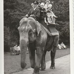 Asian Elephant ride at Whipsnade Zoo - taken circa August/September 1960