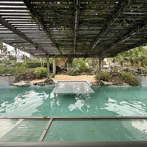 Oct. 2023 - Harbor Seal Enclosure