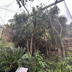 Oct. 2023 - Madagascar - Fossa Enclosure