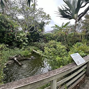 Oct. 2023 - Hispaniola Slider Pond