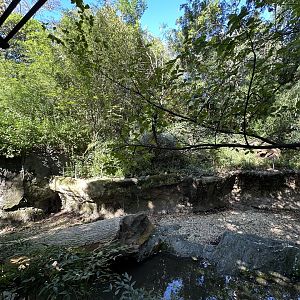 Oct. 2023 - White-Naped Crane Enclosure