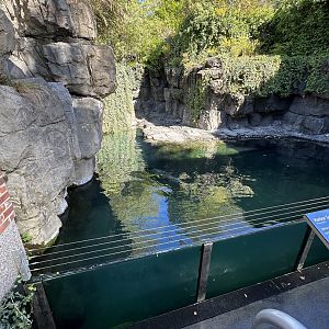 Oct. 2023 - Harbor Seal Enclosure