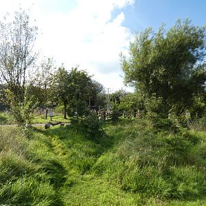 Eurasian red squirrel walk-through