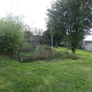 Kirk's dik-dik enclosure