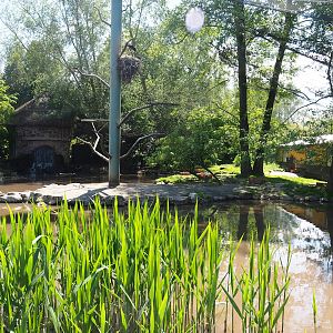 Walk-through aviary, 2023-05-19