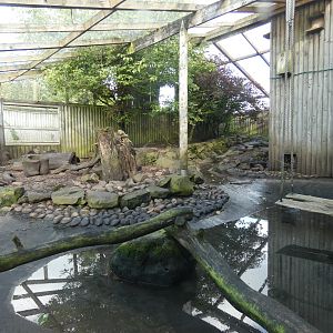 Asian short-clawed otter enclosure