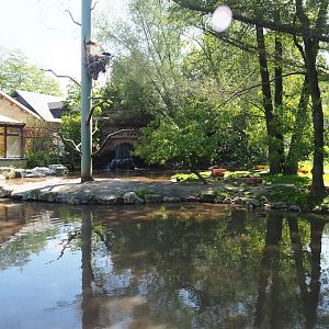 Walk-through aviary, 2023-05-19