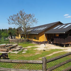 Accessible petting zoo paddock, 2023-05-19